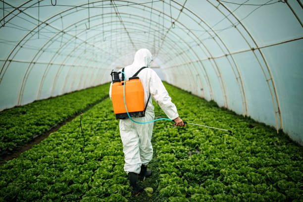 Pest Control Cost in Van Meter, IA
