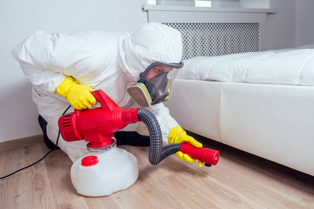 Best Mosquito Control Services  in Van Meter, IA